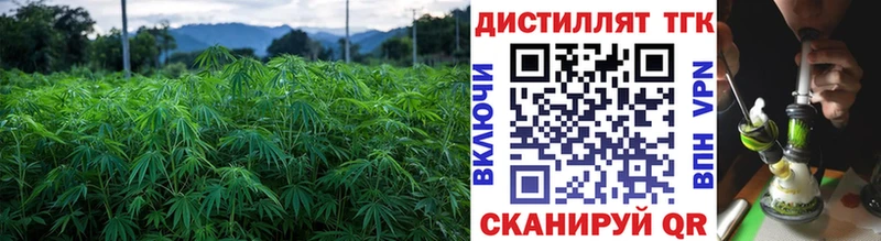 закладка  Новоузенск  Дистиллят ТГК вейп 